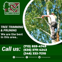 Trimming 24 Horas Disponible