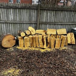 freshly chopped wood 