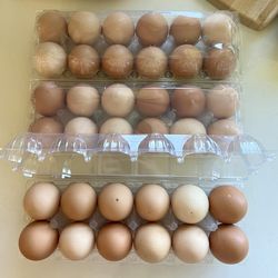 FARM FRESH CHICKEN EGGS