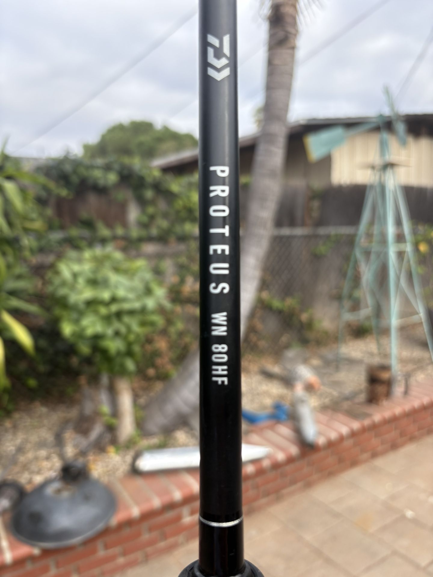 Diawa Proteus 8’