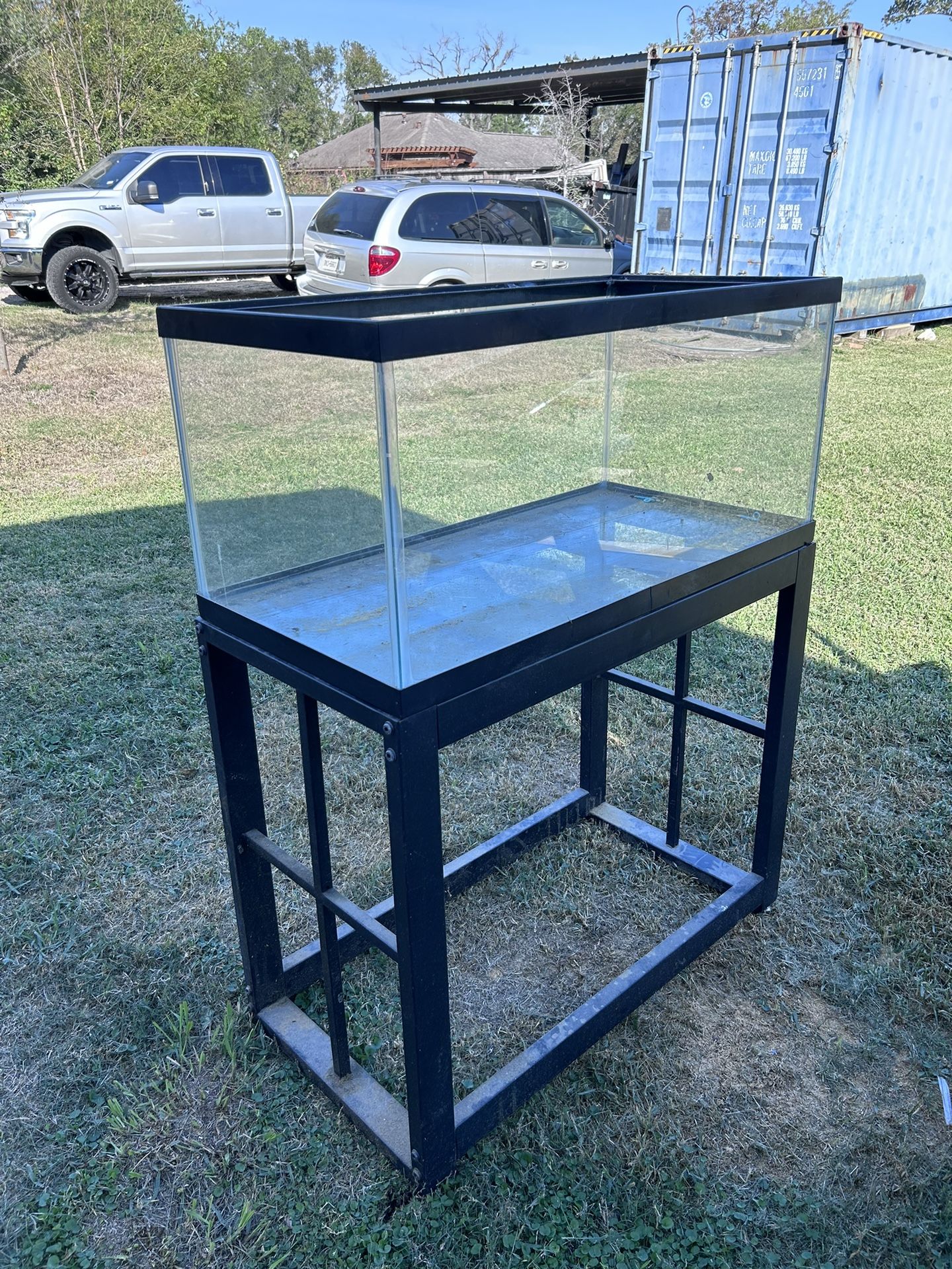 Fish Tank 