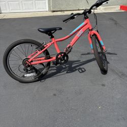 Giant/LIV 20-Inch Girls Bike