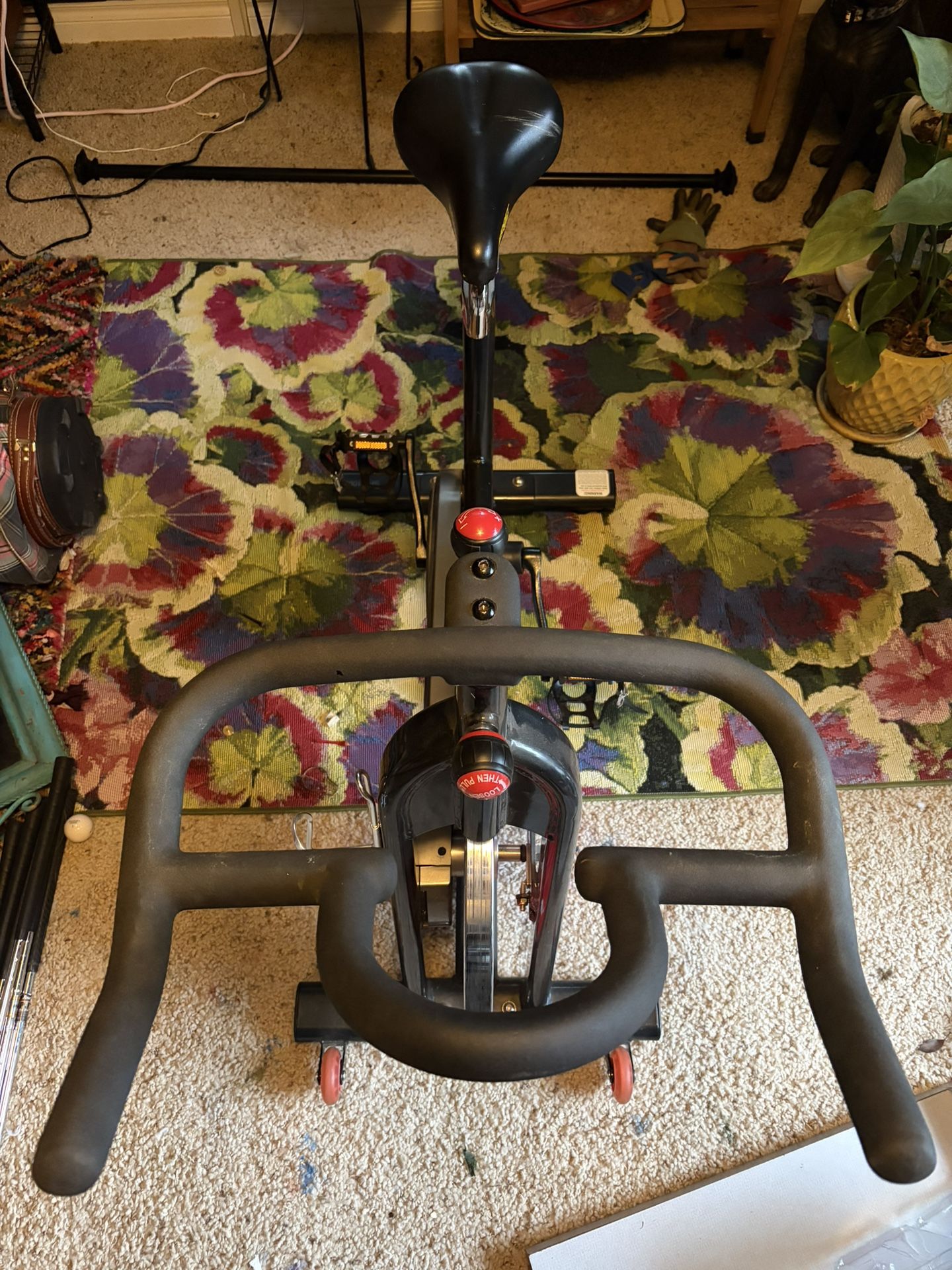Sunny Stationary Bike