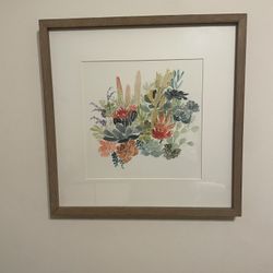 Framed Succulent Print