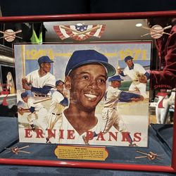 MLB Chicago Cubs Ernie Banks  Seagrams 16X20 Vintage Mirror.  