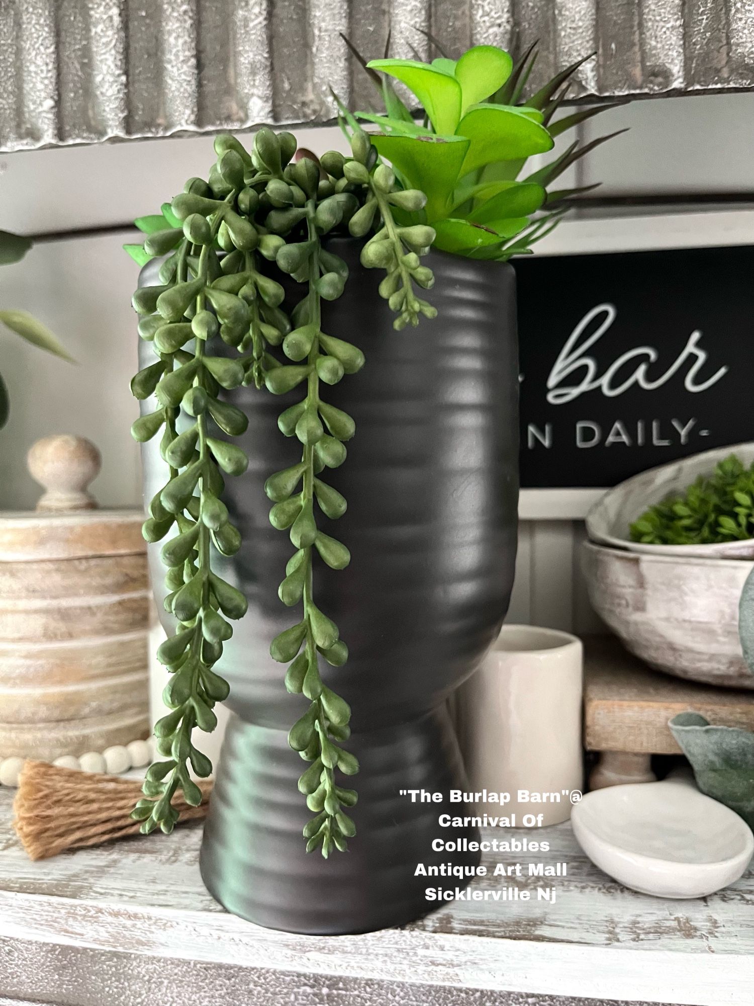 Succulent Flower Pot Decor