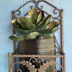 Wall Mounted Plant Stand 