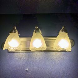 vanity light - 24” x 5”