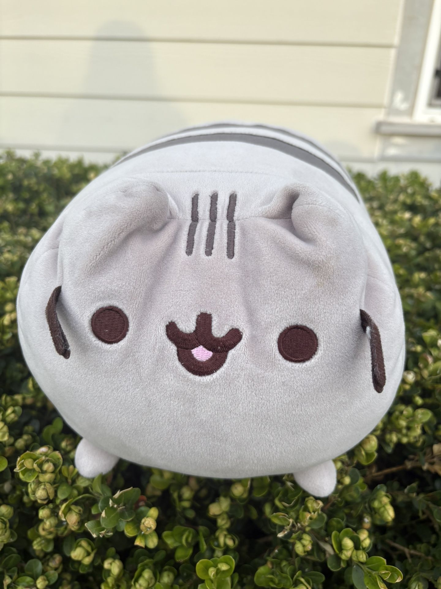 Pushin Plushie 