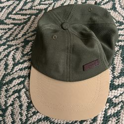 Dog Hat