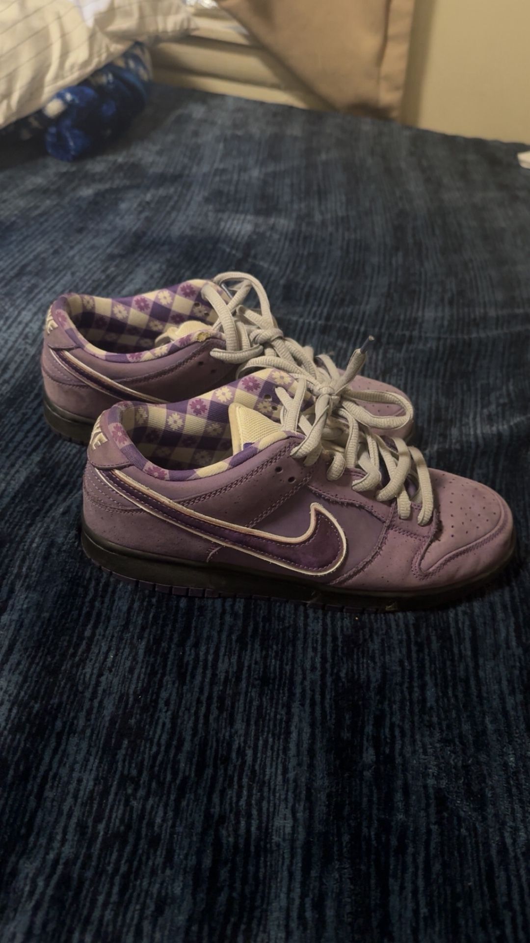 Purple Lobsters Nike Dunk Sb