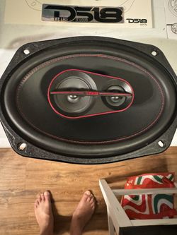 Ds 18 6x9 Speakers