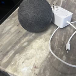 Alexa Con Su Cargador 