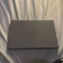 HP Chromebook 