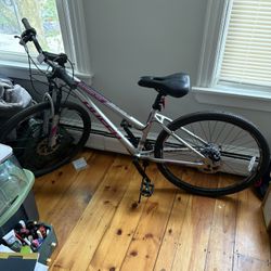 Bicycle (Brand New)