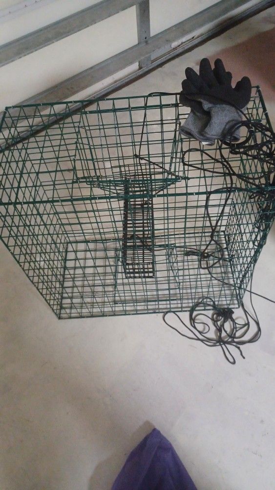 Crad Cage