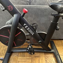 Yesoul S3 Exercise Bike (custom seat)