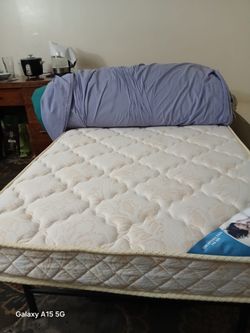 Free - twin mattress & platform