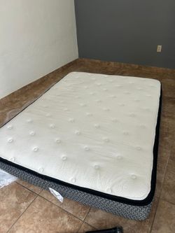 Queen Mattress Sealy