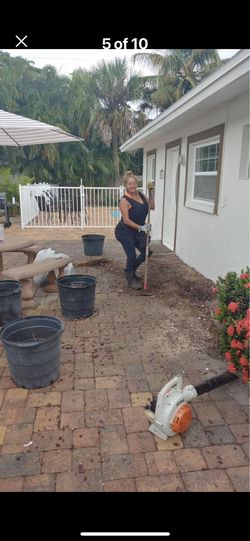 Beautiful Plants And Palms