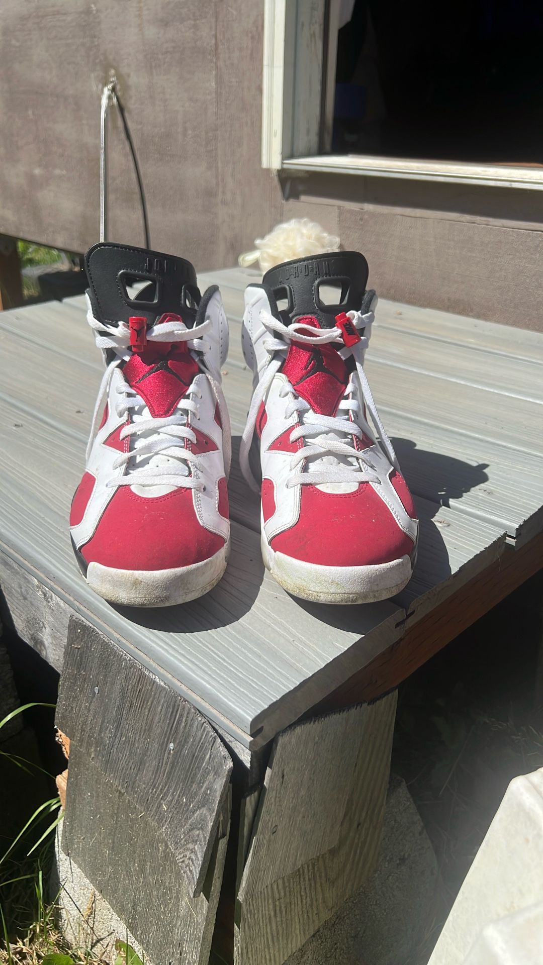 Air Jordan 6 CARMINE 