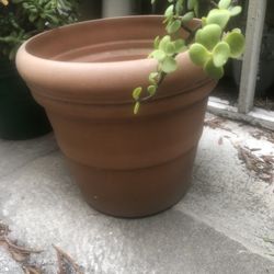 Large Flower Pot 