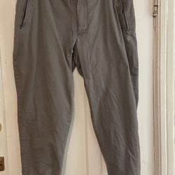 L.L.Bean women’s taupe color lined pants XL