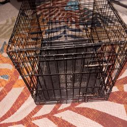 Animal Cage