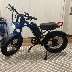 Electric Bike