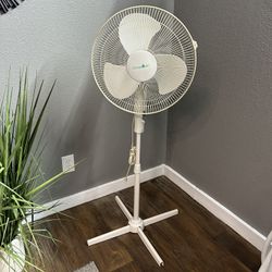 White Fan 
