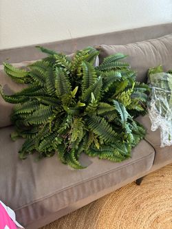 CQURE-Artificial Boston Fern Plants (2) 50” Wide