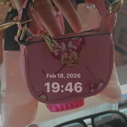 Minis Carteritas De Coach