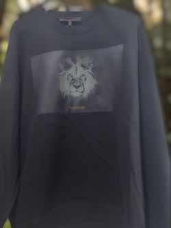 Vayder pullover crewneck sweater