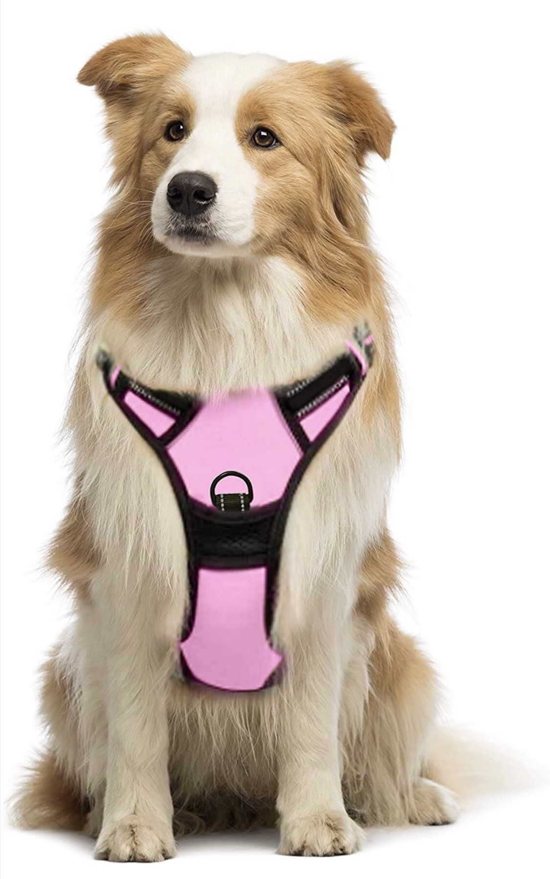 Adjustable Soft Padded Reflective Dog Trainer Harnesses Medium Large Heavy Duty Durable Double Stitched pet Supplies 2 Metal Clips Breathable Vest
