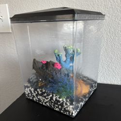 Small Fish Tank 