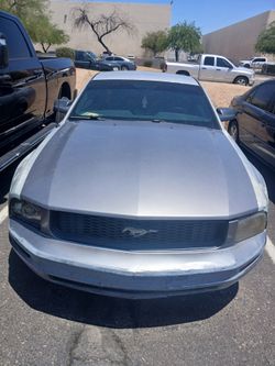 2007 mustang