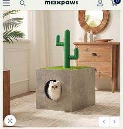 Cat Litter/ Caja Para Gatitos 🐱 