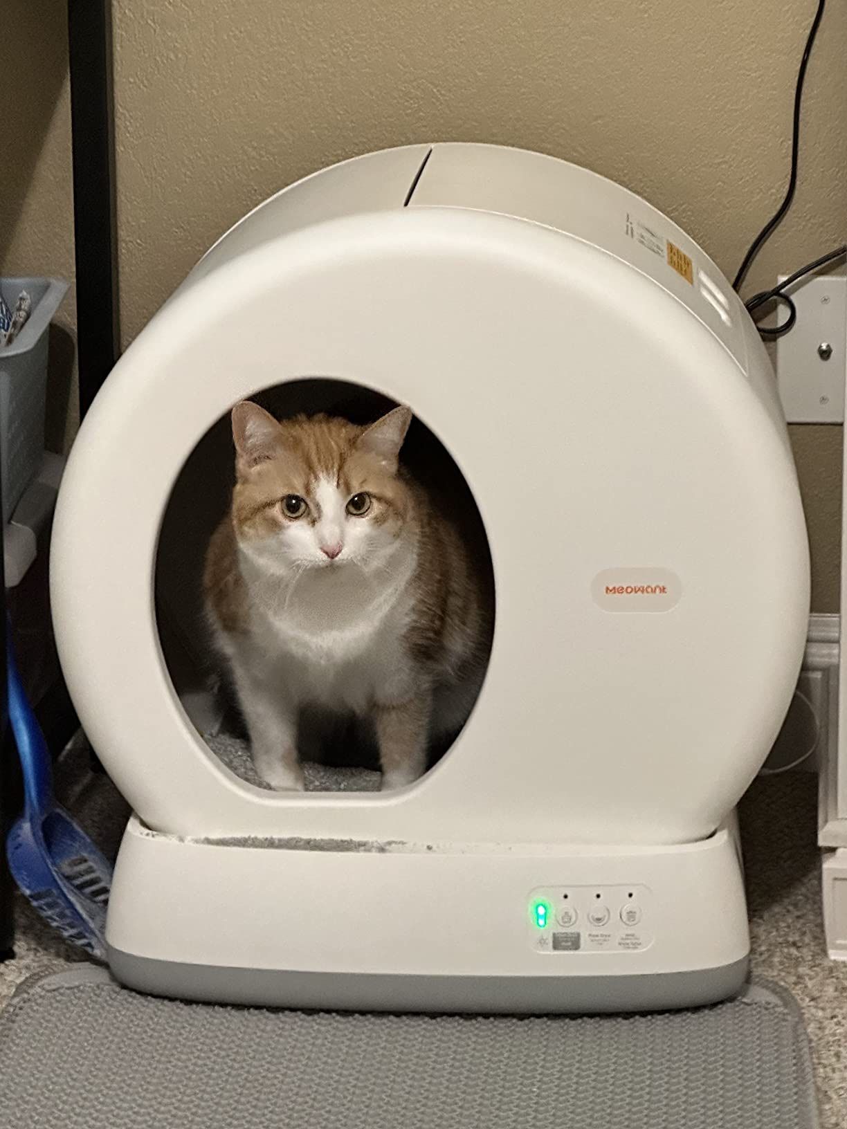 Cat Litter Box , XX-Large Extra Large Litter Boxes for Large Cats,Enclosed Removable Metal Cat Box with High Sided Enclosure,Magnetic Door,40L Box, Li
