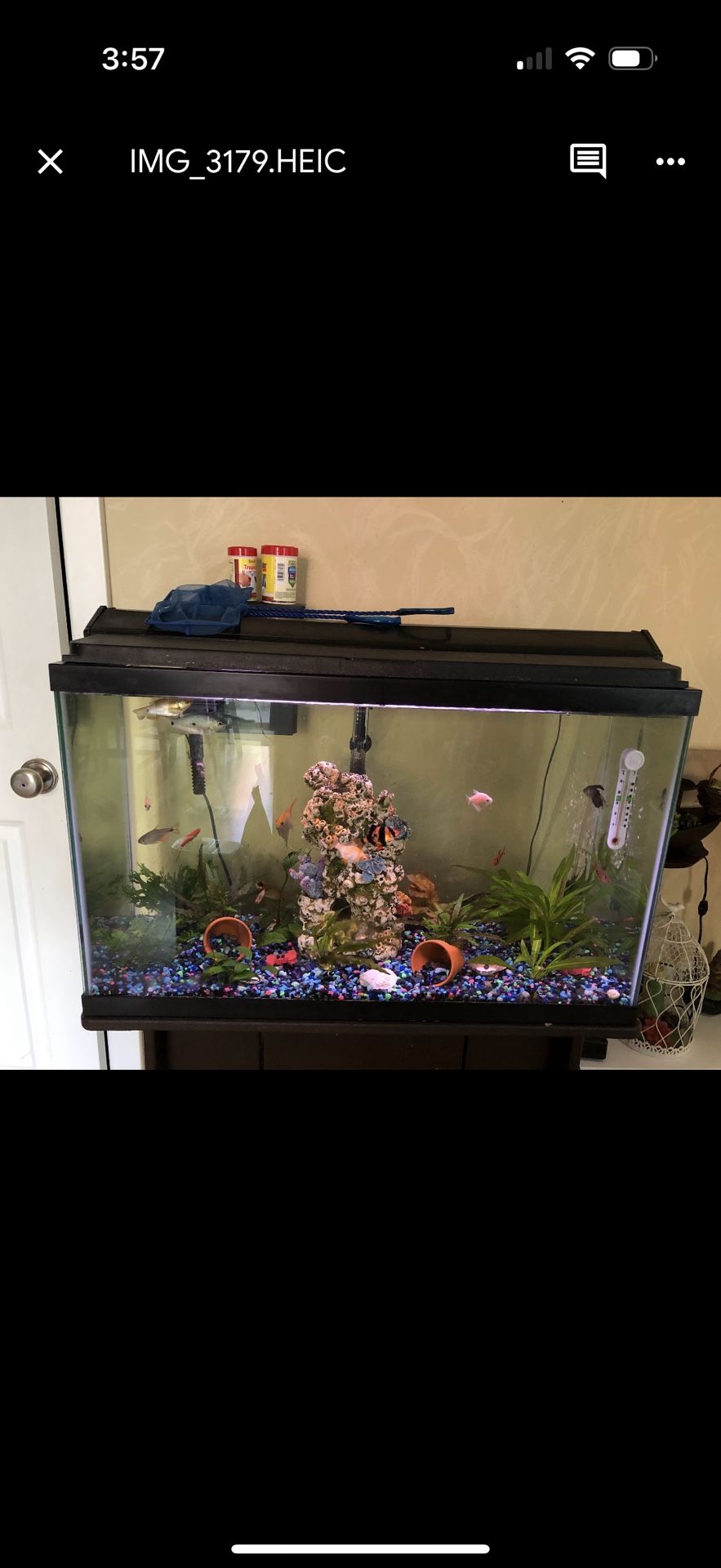 Fish Tank/aquarium