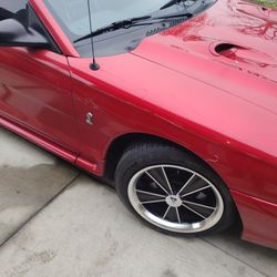 1998 Ford Cobra 2,500 As Is Motor Is Knocking Car Got Hot I Keep The Wheels Clean Title Pink And Hen