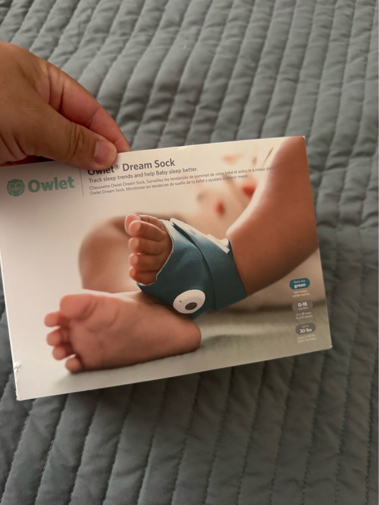 Owlet Dram Sock