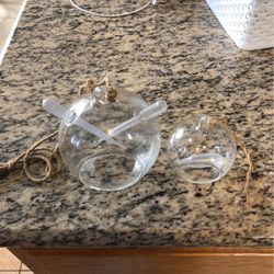 Glass Terrarium Container - Succulent Plants 