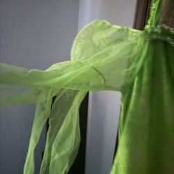 Adult Tinker Bell Costume 