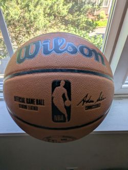 Wilson real NBA game ball