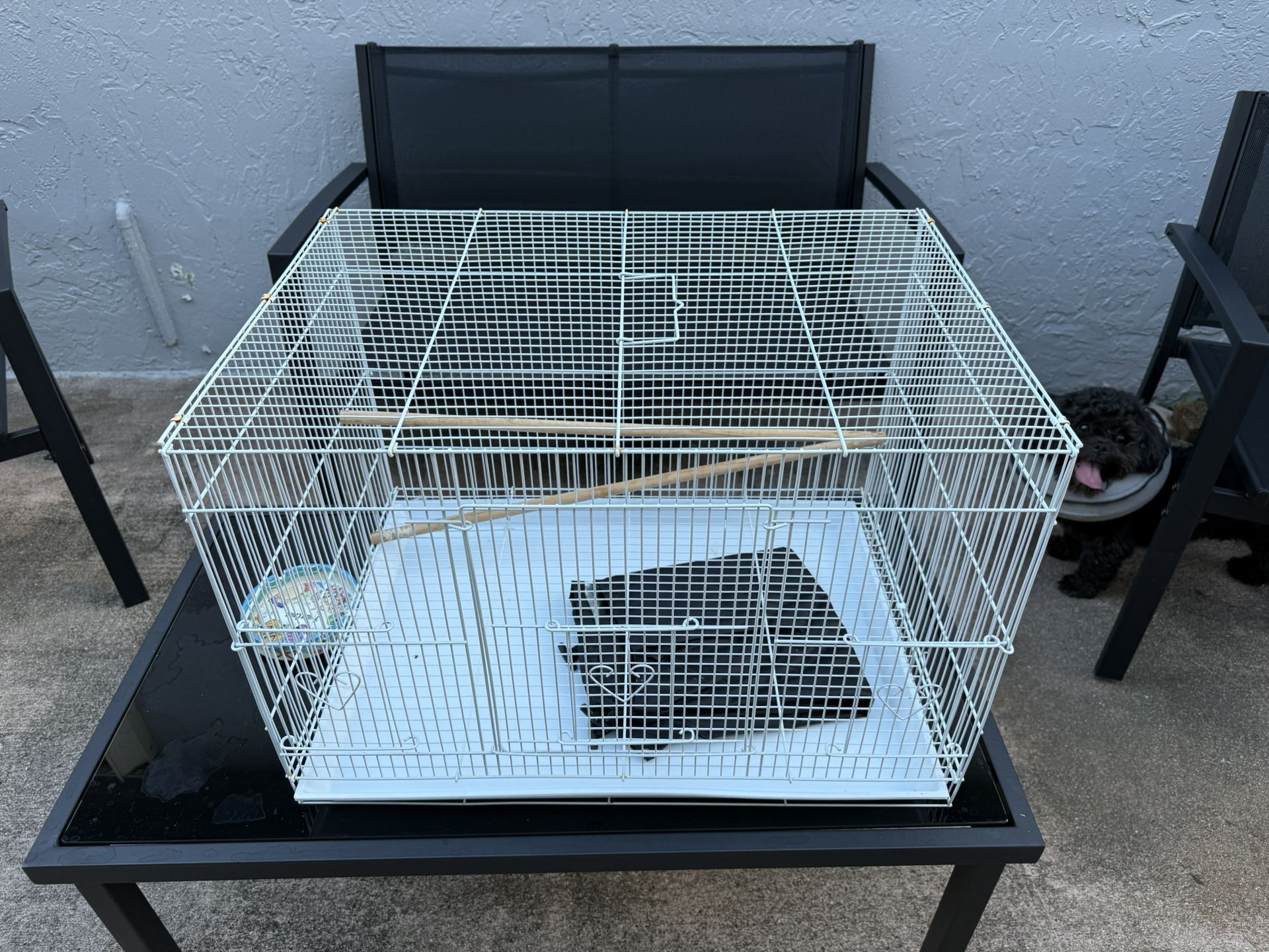 Bird Cage
