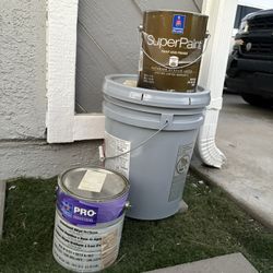 Paint For Sale 