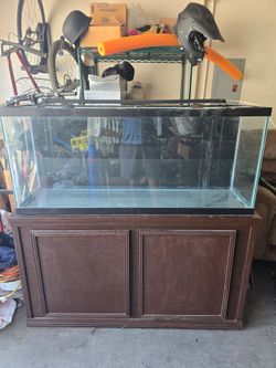 55 gallon aquarium