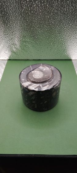 Orthoceras Ammounit Container Round With A Lid 
