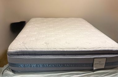Serta Perfect Sleeper Pillow Top Mattress