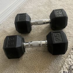 25lb Dumbbell (2)